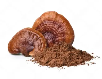 Ganoderma Extract